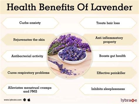 lavender oil benefits and side effects.